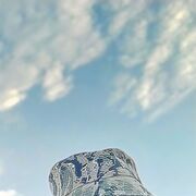 ���������� ���������, ���� ������� �����, 35 ���, ������������ ��� ������, ����� � ���������