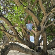 ���������� �������, ���� ������� ��������, 47 ���, ������������ ��� ������, ����� � ���������, c�������� ���������