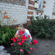 ���������� ������, ���� ������� ������, 41 ���, ������������ ��� ������, ����� � ���������, c�������� ���������