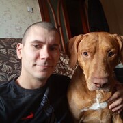  ,   Anton, 31 ,     , c , 