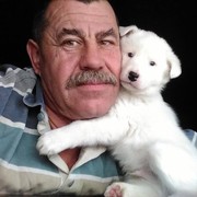 ���������� �����������, ���� ������� ��������, 65 ���, ������������ ��� ������, ����� � ���������, c�������� ���������