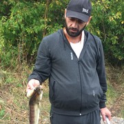  ,   , 39 ,     , c 