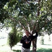 ���������� ���������, ���� ������� Ruslan, 37 ���, ������������ ��� ������, ����� � ���������, c�������� ���������, ���������