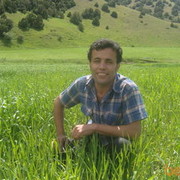  ,   Farukh, 40 ,   ,   , c 