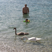 ���������� ������, ���� ������� �������, 47 ���, ������������ ��� ������, ����� � ���������, c�������� ���������