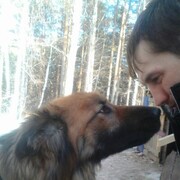 ���������� �������, ���� ������� ������, 36 ���, ������������ ��� ������, ����� � ���������, c�������� ���������