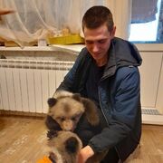 ���������� ������, ���� ������� ���������, 26 ���, ������������ ��� ����� � ���������, c�������� ���������, ���������