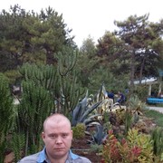 ���������� ��������, ���� ������� �������, 36 ���, ������������ ��� ������, ����� � ���������, c�������� ���������, ���������