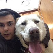 ���������� ������, ���� ������� �������, 31 ���, ������������ ��� ������, ����� � ���������