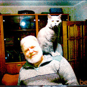 ���������� ��������, ���� ������� ����, 71 ���, ������������ ��� ������