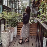  ,   , 21 ,     