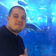 ���������� ���������, ���� ������� �������, 31 ���, ������������ ��� ������, ����� � ���������