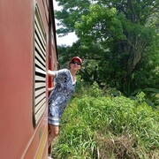 ���������� �����-���������, ���� ������� ������, 51 ���, ������������ ��� ������, ����� � ���������, c�������� ���������