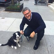 ���������� Apex, ���� ������� Markjamie, 60 ���, ������������ ��� ������, ����� � ���������, c�������� ���������