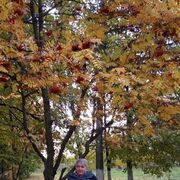  ,   Vera, 65 ,   