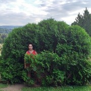 ���������� ������� �����, ���� ������� ��������, 38 ���, ������������ ��� ������, ����� � ���������, c�������� ���������