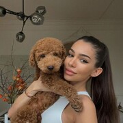  ,   , 22 ,   ,   