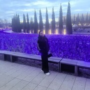 ���������� ���������, ���� ������� �������, 40 ���, ������������ 