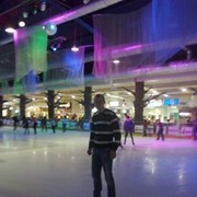  ,   Alex, 36 ,     , c 
