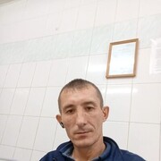 ���������� ����, ���� ������� ��������, 44 ����, ������������ ��� ������, ����� � ���������