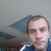  ,   , 41 ,  