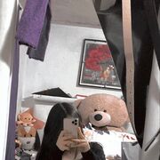 ���������� ������, ���� ������� ������, 27 ���, ������������ ��� ����� � ���������, ���������