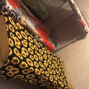 ���������� ������, ���� ������� Jose Luis, 38 ���, ������������ ��� ������, ����� � ���������