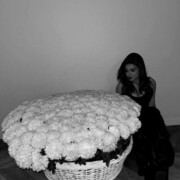 ���������� �����, ����������