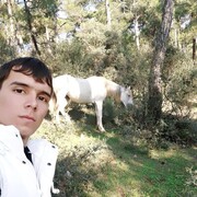  ,   , 31 ,   , c 