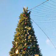 ���������� ������, ���� ������� ����, 52 ����, ������������ ��� ������, ����� � ���������, ���������