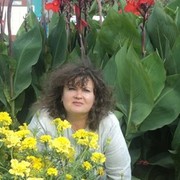  ,   , 66 ,   c 