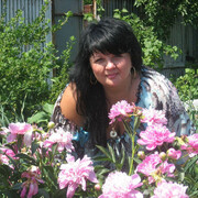 ���������� �����, ���� ������� O�����, 50 ���, ������������ ��� ������, ���������