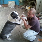 ���������� ������, ���� ������� ����, 41 ���, ������������ ��� ������, ����� � ���������, c�������� ���������