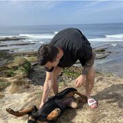 ���������� ������, ���� ������� ����, 36 ���, ������������ ��� ������, ����� � ���������