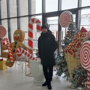 ���������� ��������, ���� ������� �������, 38 ���, ������������ ��� ����� � ���������, c�������� ���������