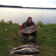 ���������� �����, ���� ������� ���������, 49 ���, ������������ ��� ������, ����� � ���������, c�������� ���������, ���������