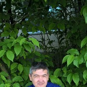 ���������� �����-���������, ���� ������� Muhammadi, 52 ����, ������������ ��� ������, ����� � ���������, c�������� ���������