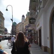 ���������� ����, ���� ������� �������, 65 ���, ������������ ��� c�������� ���������