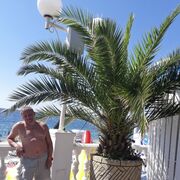  ,   , 60 ,   ,   , c , 