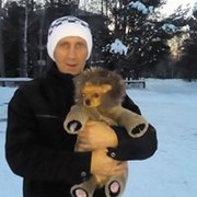 ���������� �����, ������� ����, 43