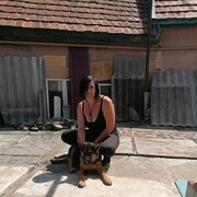 ,   , 44 ,  