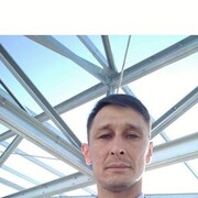 ���������� �����������, ���� ������� ���������, 40 ���, ������������ ��� c�������� ���������