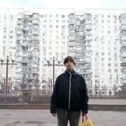 ���������� ���������, ���� ������� ����, 38 ���, ������������ 