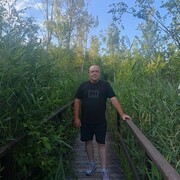 ���������� ����, ���� ������� Ed, 50 ���, ������������ ��� ����� � ���������, c�������� ���������, ���������