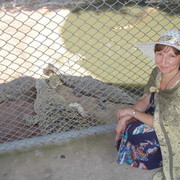  -,   , 60 ,     , c 