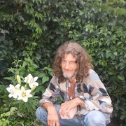 ���������� �����-���������, ���� ������� Maestro, 60 ���, ������������ ��� ����� � ���������, c�������� ���������