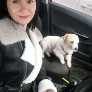 ���������� ���������, ���� ������� ���������, 42 ����, ������������ ��� c�������� ���������