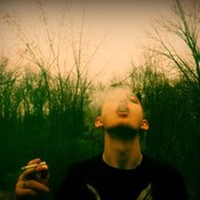 ���������� �������, ���� ������� Ilie, 29 ���, ������������ ��� ������