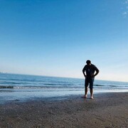 ���������� ������, ���� ������� ��������, 29 ���, ������������ ��� ������, ����� � ���������, c�������� ���������, ���������