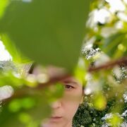 ���������� �����-���������, ���� ������� �����, 29 ���, ������������ ��� c�������� ���������